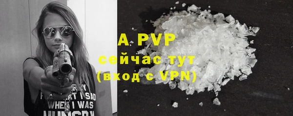ALPHA PVP Елизово