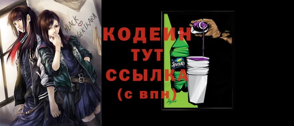 хмурый Елабуга