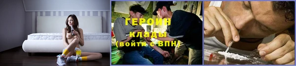 ALPHA PVP Елизово