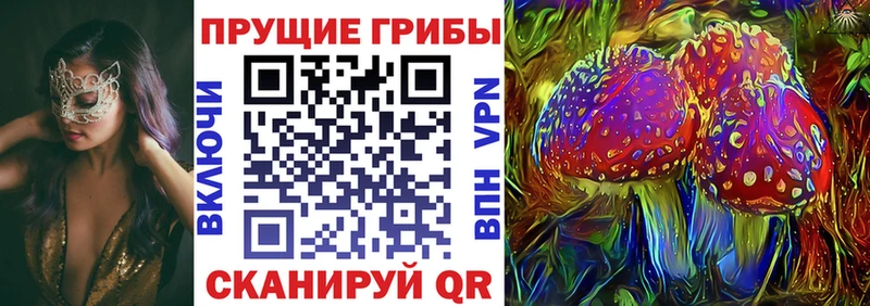 Псилоцибиновые грибы Magic Shrooms  Купить где  Калязин 