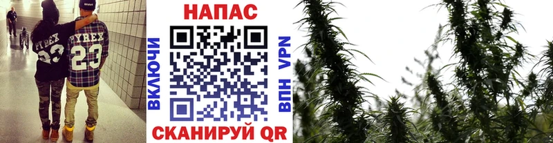 Купить  Калязин  Конопля SATIVA & INDICA 